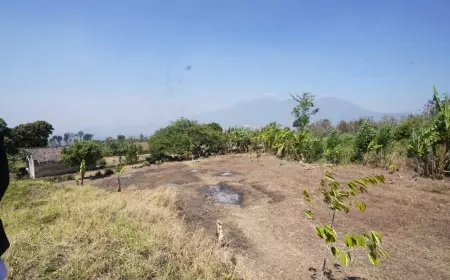Desa Giripurno Hendak Dibuat TPA, Kades dan Warga Menolak