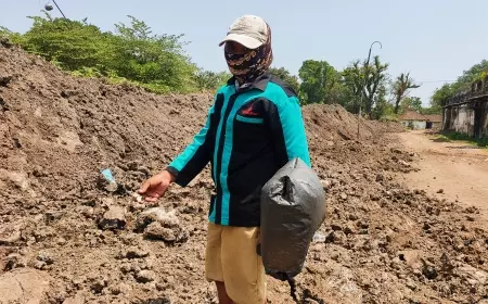 Dampak El Nino, Jamur Blotong Sisa Proses Tebu Sulit Ditemukan