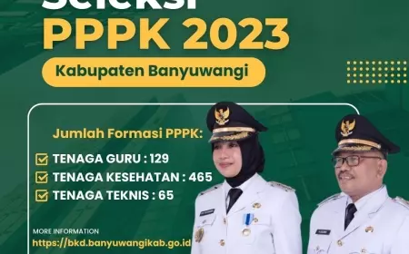 Banyuwangi Buka Lowongan PPPK 2023, Formasi Tenaga Kesehatan Paling Banyak Dibutuhkan