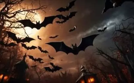 Sedang Marak, Apa Itu Virus Nipah? Simak Gejala, Pencegahan dan Pengobatannya