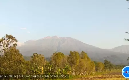 Rawan Kebakaran Hutan, Perhutani Tutup Pendakian Gunung Rante dan Raung