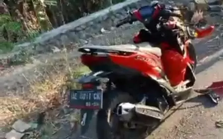 Pengendara Motor di Madiun Tewas Tertimpa Pohon