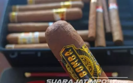 Festival Cerutu Kelima di Jember, Dihadiri 22 Dubes