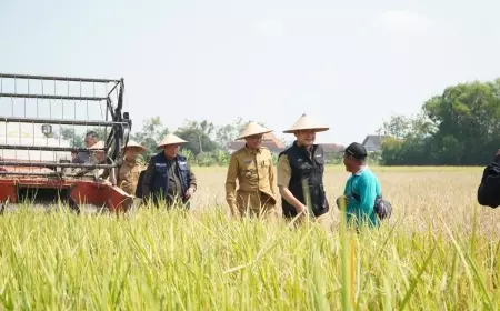 Lamongan Gencarkan Regenerasi Petani Untuk Pertahankan Potensi Pertanian