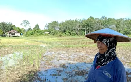 TMMD ke-118 Wilayah Perbatasan Kodim 0910, Letkol Inf Alisun , Bentuk Desa Produktif