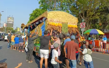 Warga Jember Berebut Hasil Pertanian dalam Pawai Mobil Hias