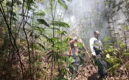 Hutan Gunung Lawu Terbakar, RPH Sarangan Siaga