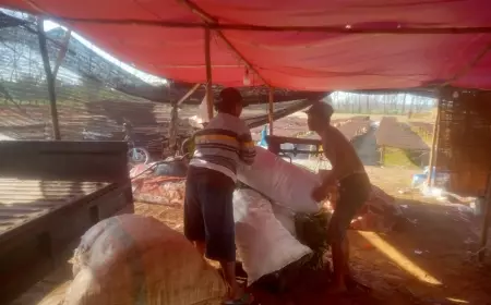 Tak dapat DBHCT, Dua Kelompok Tani Tembakau di Kemlagi Mojokerto Gigit Jari