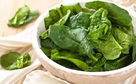 Ini Manfaat Sayur Bayam Untuk Kesehatan