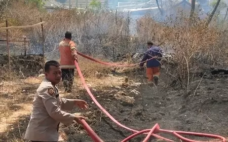 Polisi Gresik Berjibaku Bantu Damkar dan Warga Padamkan Api di Lahan Kosong