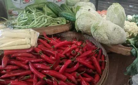 Harga Cabai, Gula merangkak Naik, Bagaimana dengan Harga Bahan Pokok Lain?
