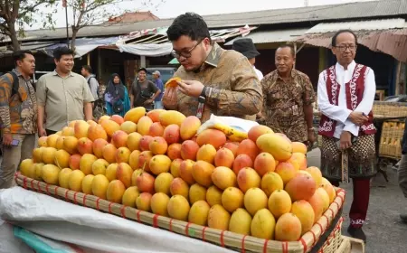 Kediri Musim Mangga Podang, Ini Pesan Mas Dhito