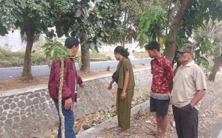 Sesosok Mayat Bayi Perempuan Ditemukan di Selokan