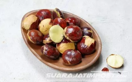 Makan Jengkol Sebabkan Kerusakan Ginjal Akut? Ini Penjelasan Medisnya