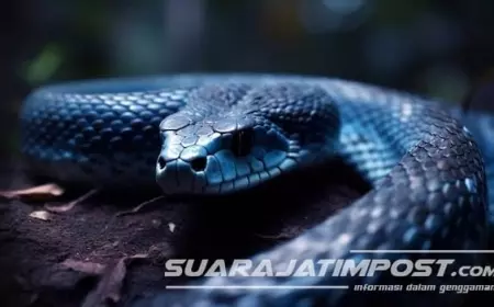 Arti Mimpi Digigit Ular Tak Selalu Buruk, Ini Maknanya