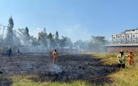 Sehari, 7 Lahan Kosong di Kota Malang Dilahap Si Jago Merah