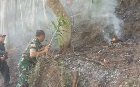5 Hektar Lahan di Desa Giripurno Kota Batu Terbakar