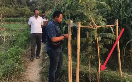 Diduga Jual Tanah Warga, Kades di Jember Terancam Dipolisikan 