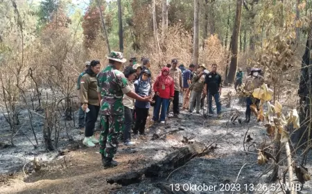 Karhutla Gunung Lawu Belum Reda, Dandim 0805 Ngawi : Potensi Masih Besar, Masyarakat Harus Waspada