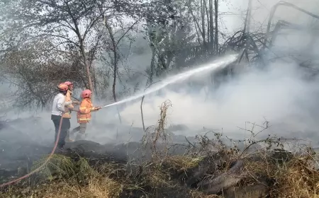 Lagi, Kebakaran Lahan Bambu Nyaris Lahap Pabrik Permen