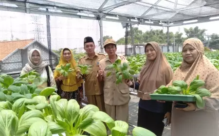 Jaga Ketahanan Pangan, Pemdes di Gresik Sulap Lahan TKD Jadi Sentra Hidroponik Bernilai Ekonomis