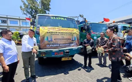 Produk Sarden di Banyuwangi Tembus Pasar Eropa dan Afrika