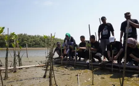 Penanaman 2.200 Bibit Mangrove, Awali Peringatan Puncak Hari Santri 2023