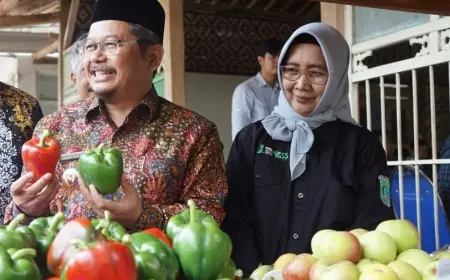 Pemkab Pasuruan Terus Pacu Produktivitas Paprika dari Kecamatan Tutur