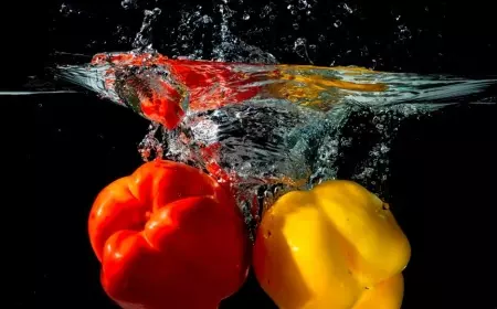 Ini 7 Manfaat Paprika Bagi Kesehatan