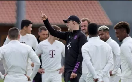 Simak 3 Fakta Menarik Galatasaray vs Bayern Munich di Liga Champions Pekan Ini