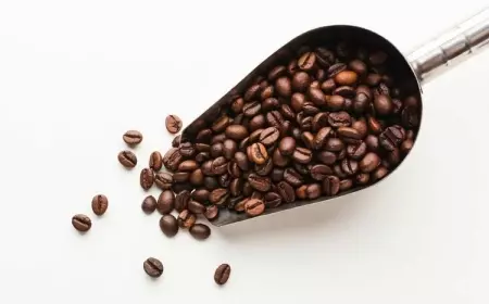 Setakar Fakta Unik dari Kopi
