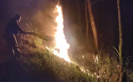 Kebakaran Hutan di Lereng Gunung Desa Kemiri Jabung, Ini Penjelasan Polres Malang