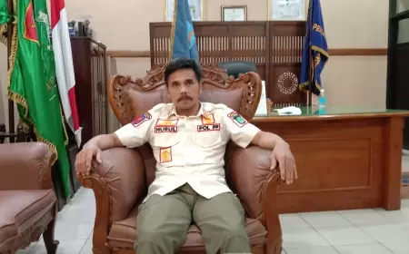 APK Bertebaran Dipaku di Pohon, Nurul Huda : Langsung Saya Sikat Untuk Bersihkan