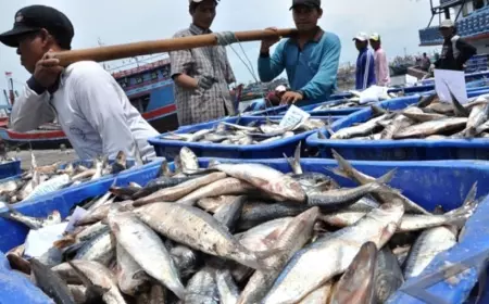 Tahun 2023, Target Tangkapan Ikan Nelayan Pasuruan Capai 21 Ribu Ton