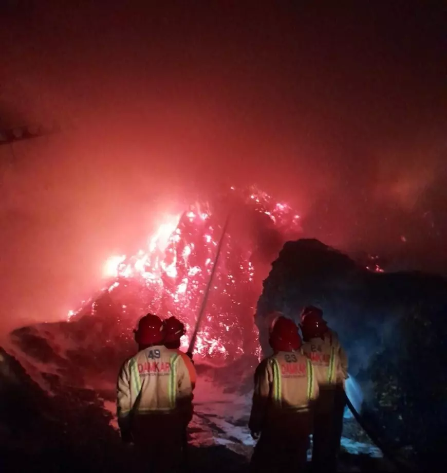 Kasus Kebakaran Rumah dan Hutan di Kabupaten Malang Meningkat