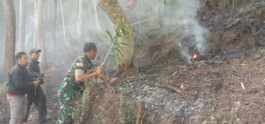 5 Hektar Lahan di Desa Giripurno Kota Batu Terbakar