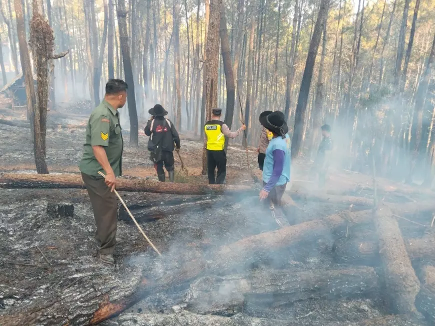 Akses Mobil Damkar Sulit Masuk, Kepolisan Bantu Upaya Pemadaman Api Di Petungsewu Kabupaten Malang