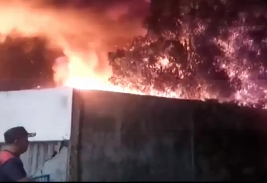 Karhutla Akibat Musim Kemarau, Mendominasi Kasus Kebakaran di Kabupaten Madiun