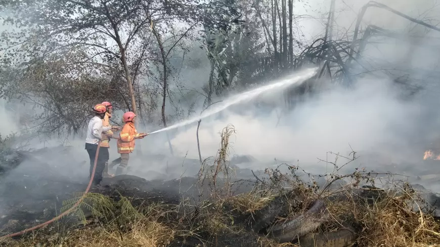 Lagi, Kebakaran Lahan Bambu Nyaris Lahap Pabrik Permen