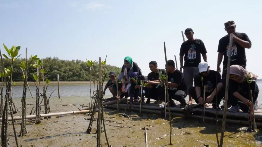 Penanaman 2.200 Bibit Mangrove, Awali Peringatan Puncak Hari Santri 2023