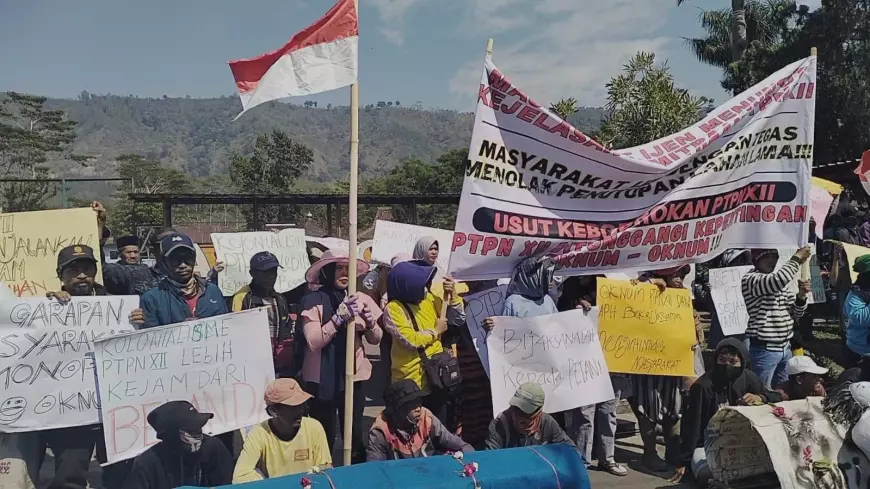 Ratusan Warga Ijen Bondowoso Demo PTPN XII, Ini Permasalahan dan Tuntutannya