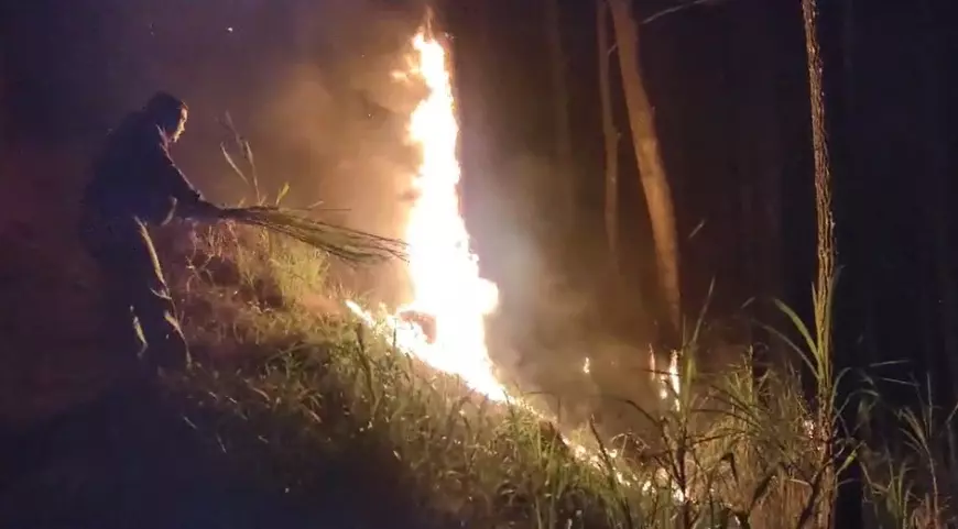 Kebakaran Hutan di Lereng Gunung Desa Kemiri Jabung, Ini Penjelasan Polres Malang