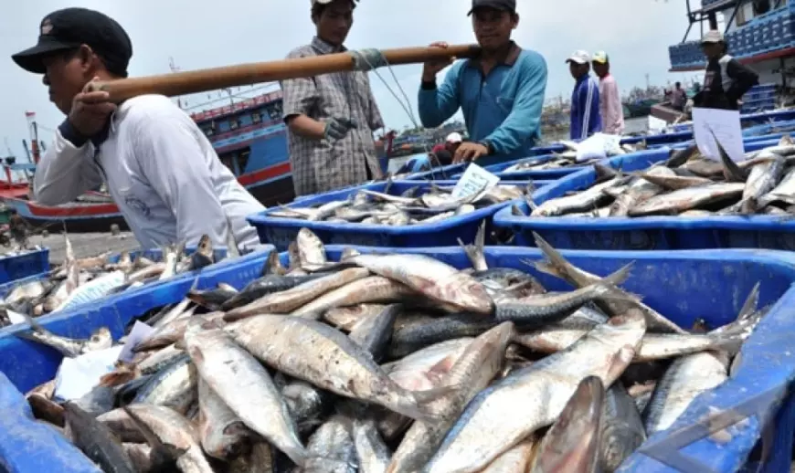 Tahun 2023, Target Tangkapan Ikan Nelayan Pasuruan Capai 21 Ribu Ton
