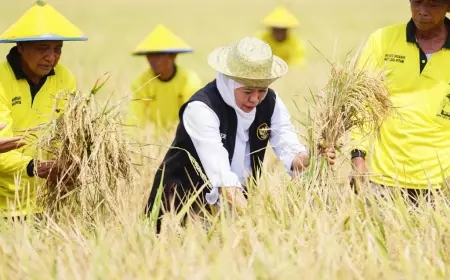 Gubernur Khofifah Sebut Jatim Jadi Lumbung Pangan Nasional