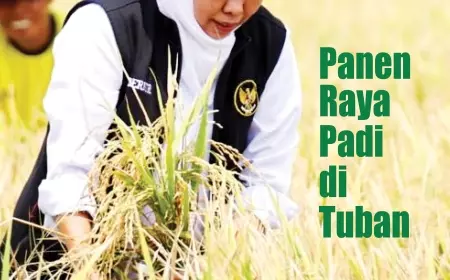 eKoran, Edisi Rabu, 1 Nopember 2023