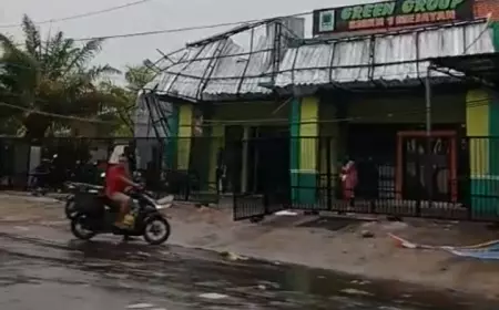 Hujan Angin Di Madiun, Belasan Pohon Dan Tiang Listrik Roboh