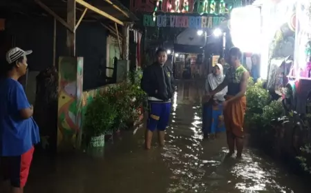 Musim Hujan, BPBD Kota Probolinggo Imbau Masyarakat Waspadai Potensi Banjir dan Pohon Tumbang