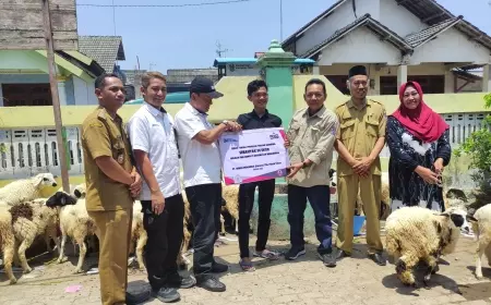 SIG Pabrik Tuban Salurkan Bantuan Kambing kepada Warga