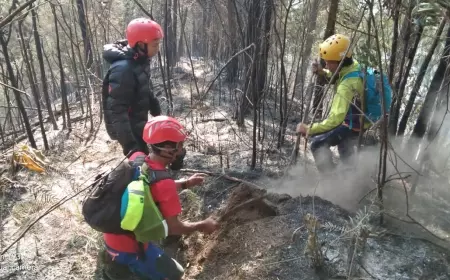 Kepolisian dan BPBD Kabupaten Malang Susah Payah Padamkan Api Hutan Lindung di Gunung Kawi Terbakar