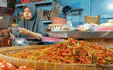 Harga Cabai Mahal, Petani Probolinggo Pilih Jual ke Luar Daerah